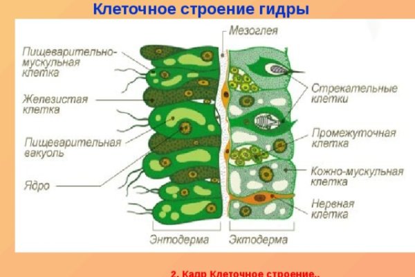 Адрес кракена