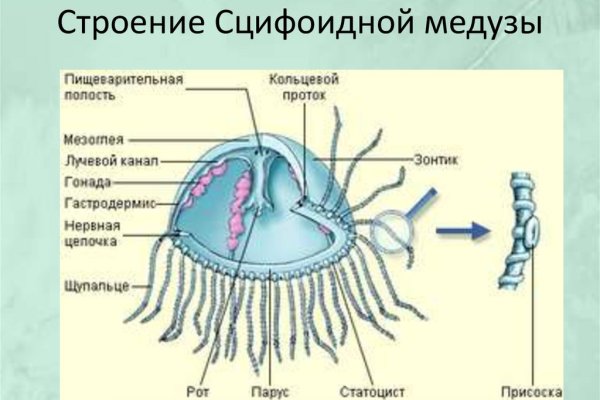 Кракен маркетплейс что там