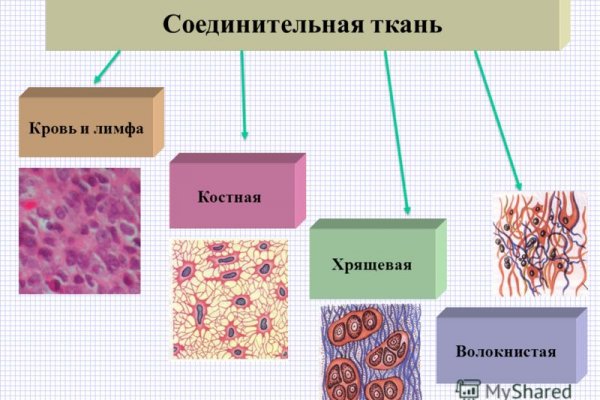 Зайти в кракен